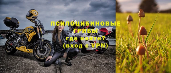 соль курить ск Алзамай