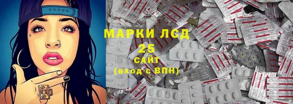 гидра Новодвинск