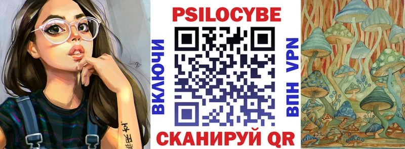 купить   Новокубанск  Псилоцибиновые грибы Psilocybe 